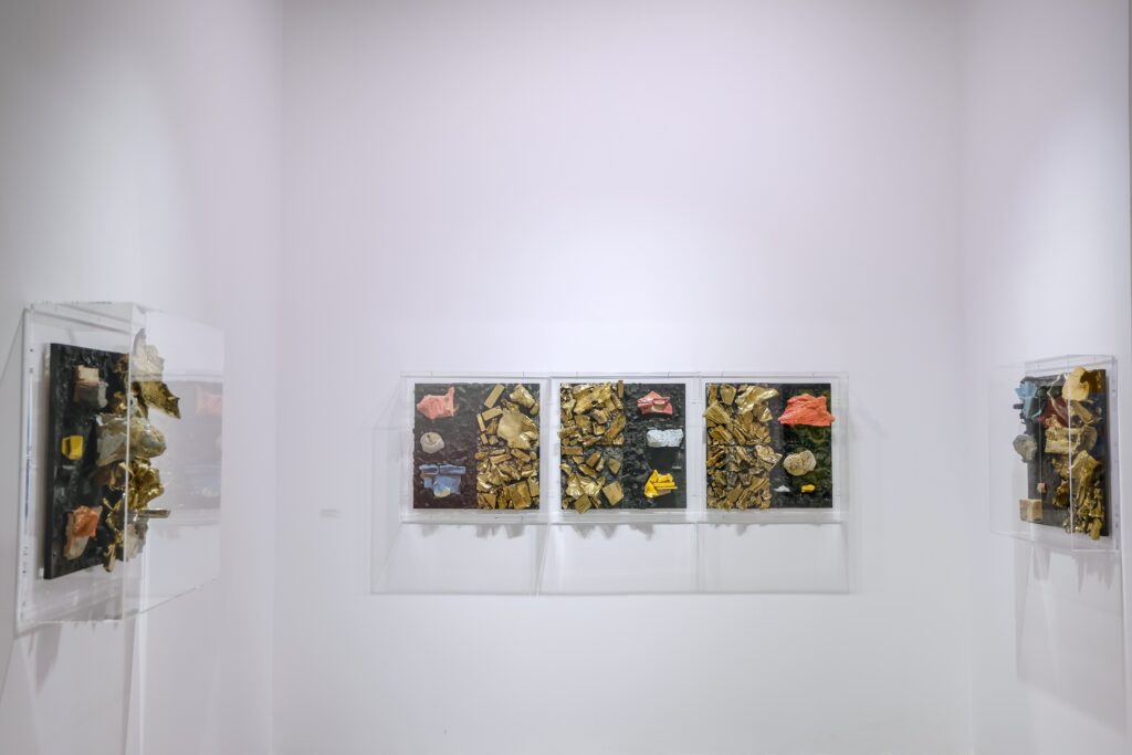 wb2025 install shot 6