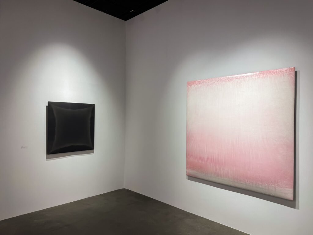 wb2025 install shot 8